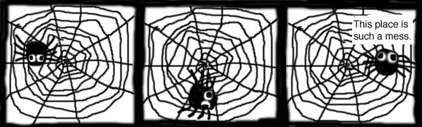 Spiders are Slobs