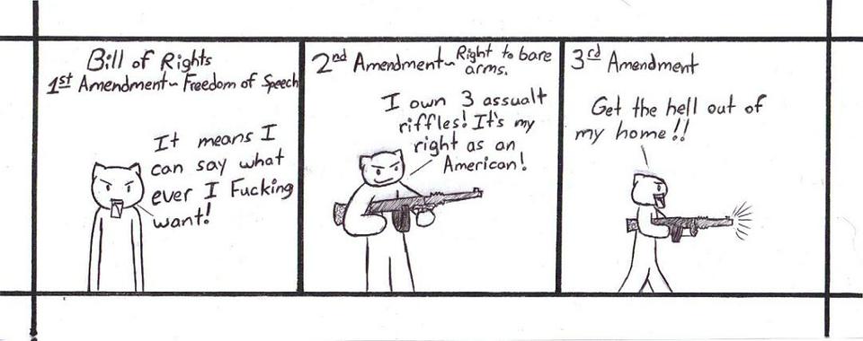 Bill of Rights - Amendments 1-3