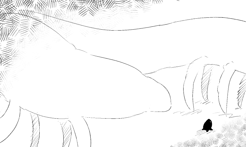 Coelum 29
