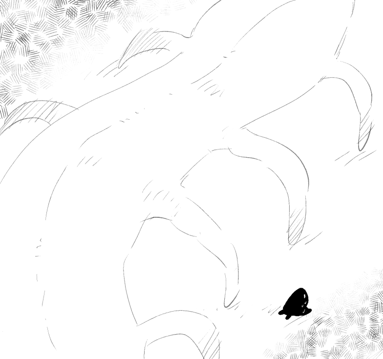 Coelum 28