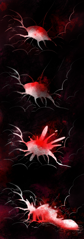 Coelum 01