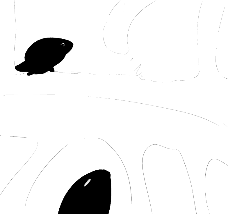 Coelum 27