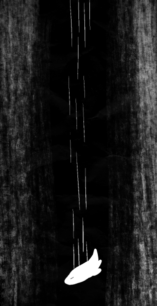 Coelum 11