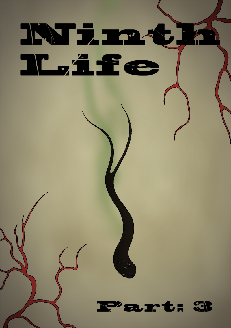 Ninth Life part three cover