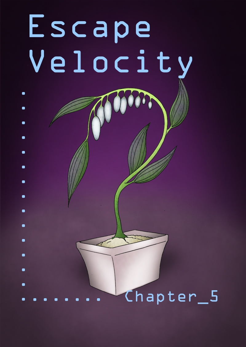 Escape Velocity chapter five cover