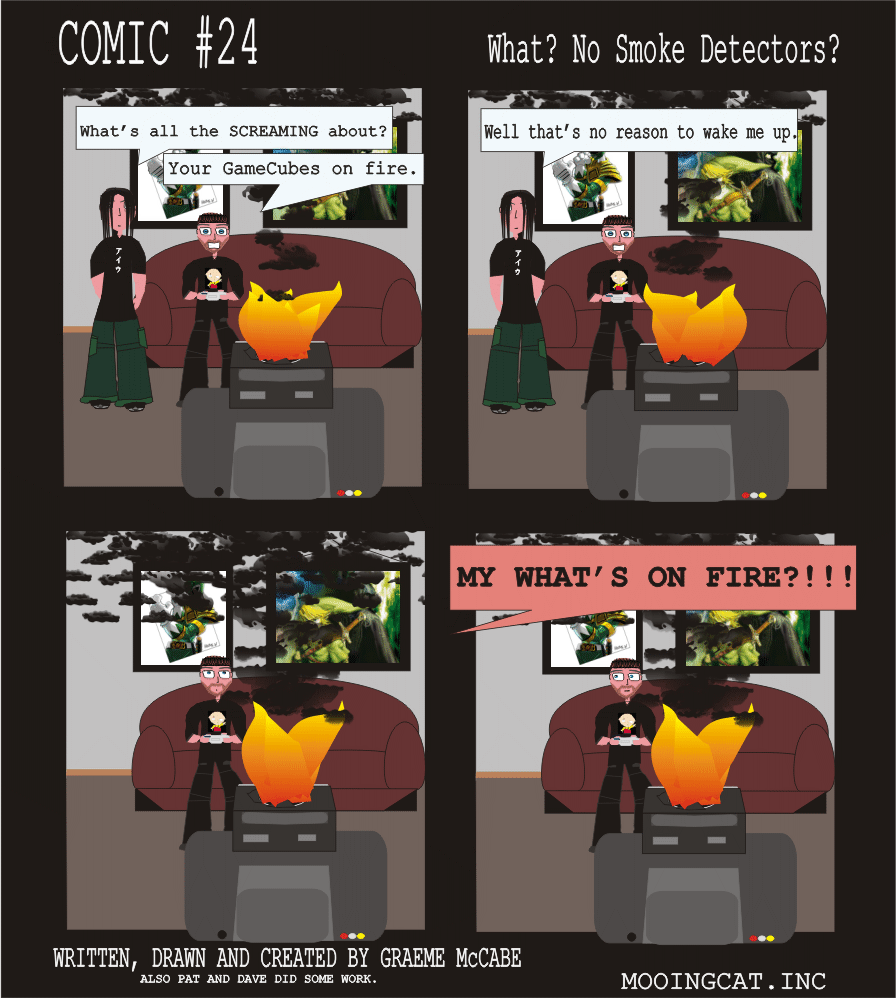 Comic #24 What No Smoke Detectors