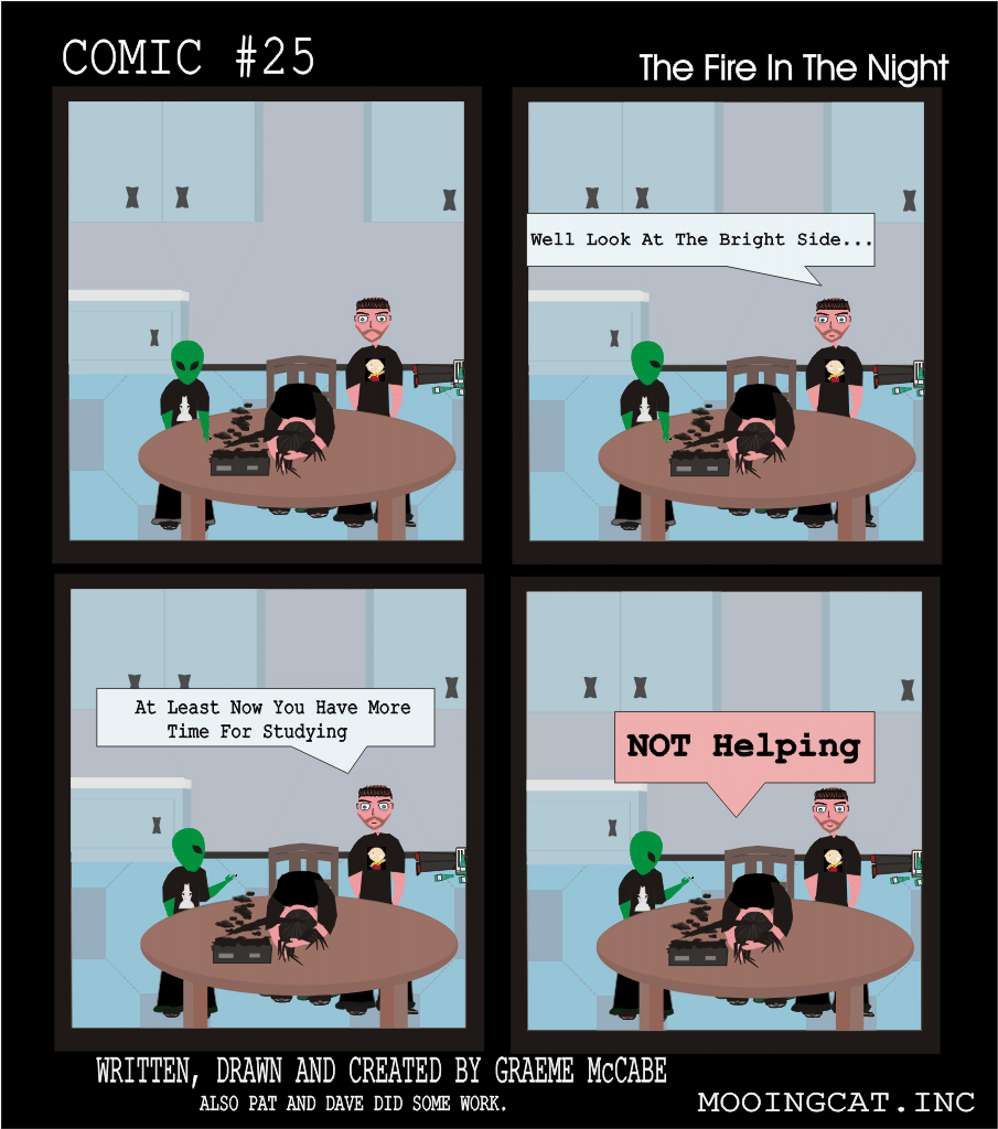 Comic #25 The Fire In The Night