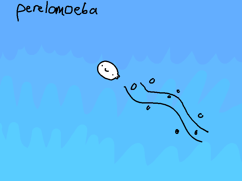 Perelomoeba - Cover