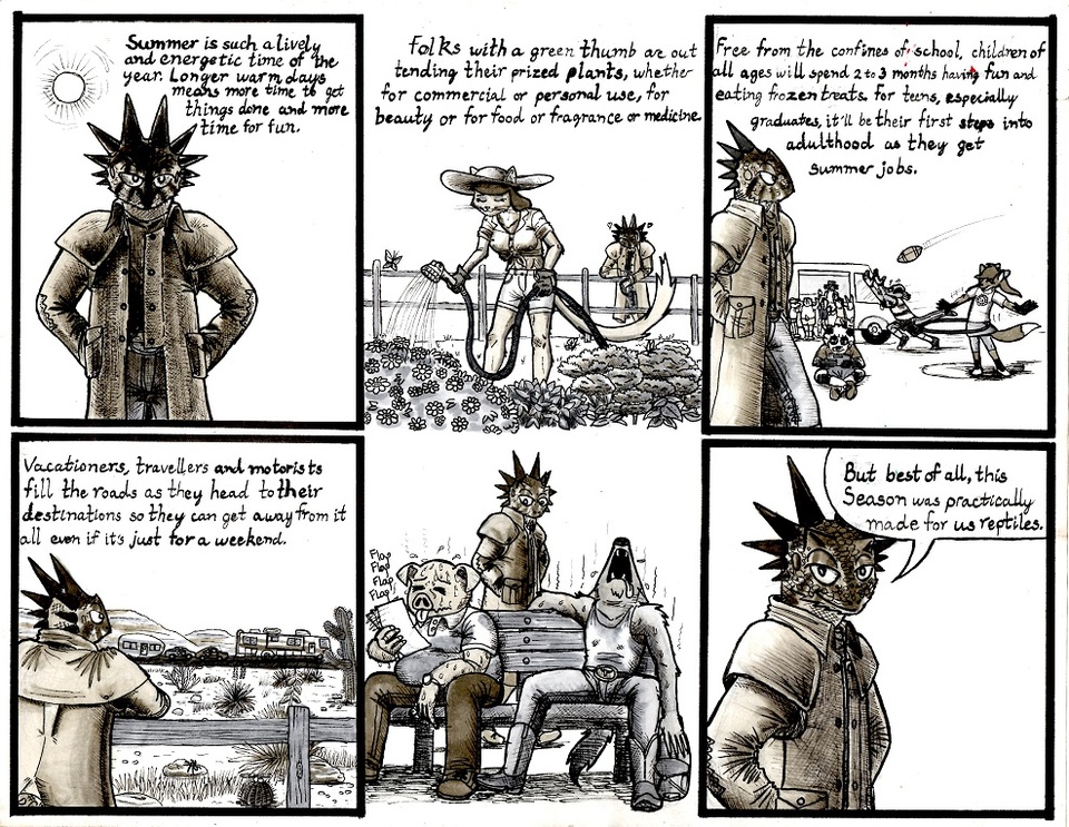 Summer in Yucca Pines