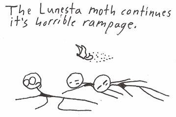 Lunesta Moth continued