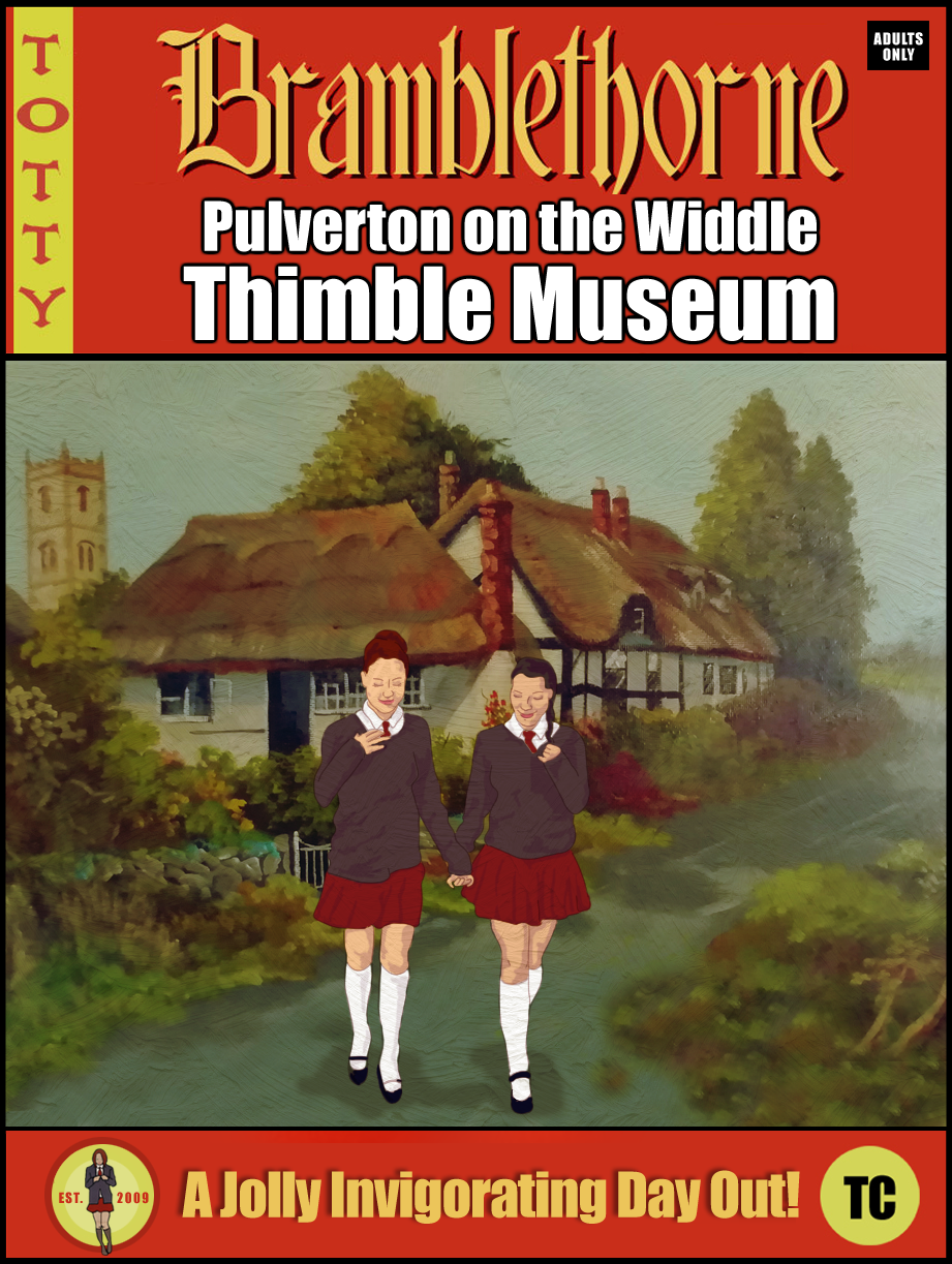 Bramblethorne : Pulverton on the Widdle Thimble Museum - Cover