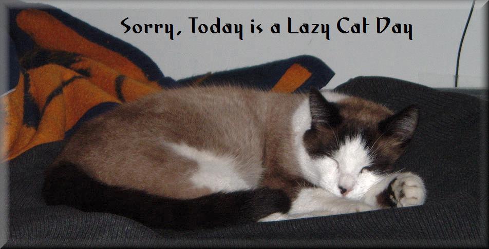 Filler Art:  Lazy Cat Day