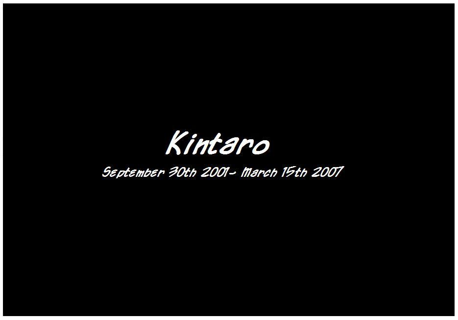 In rememberance of Kintaro