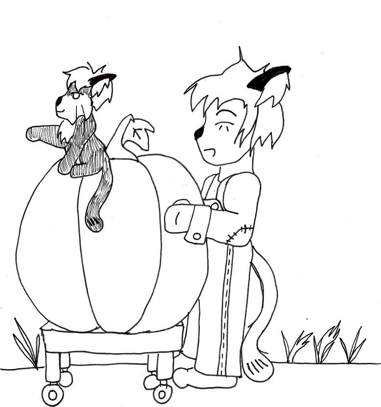 Choosing the Best Pumpkin!