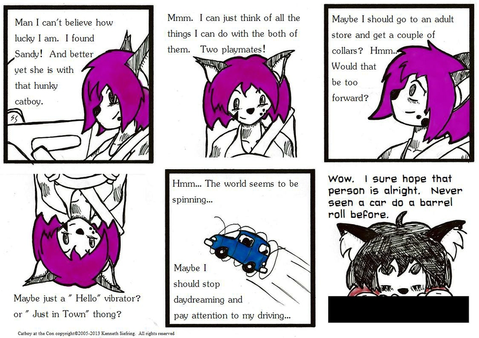 Nikki is not a good driver...