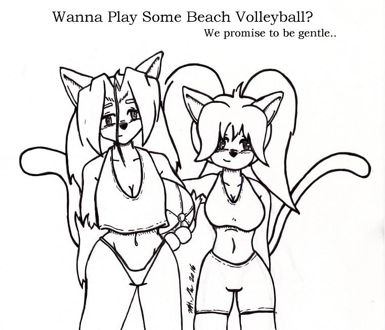 Wanna Play some Beach Volleyball?