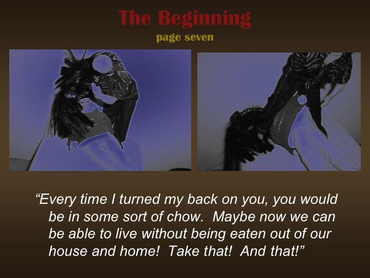 The Beginning - pg. 7