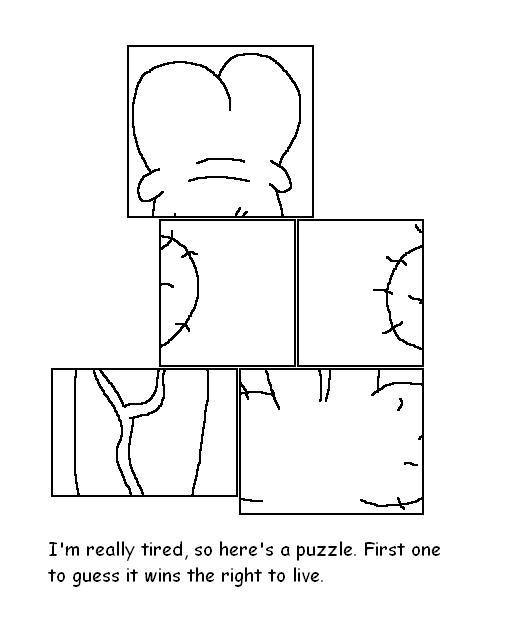 Puzzle Dick.