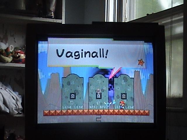 WTF 334 Super Paper Mario shot