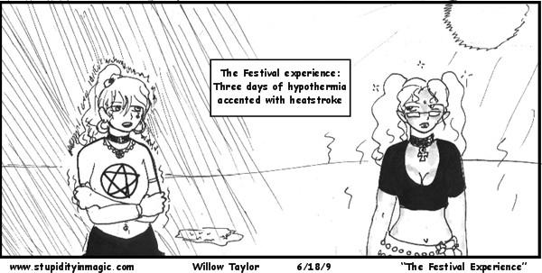 The Festival Experience