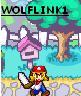 WolfLink1