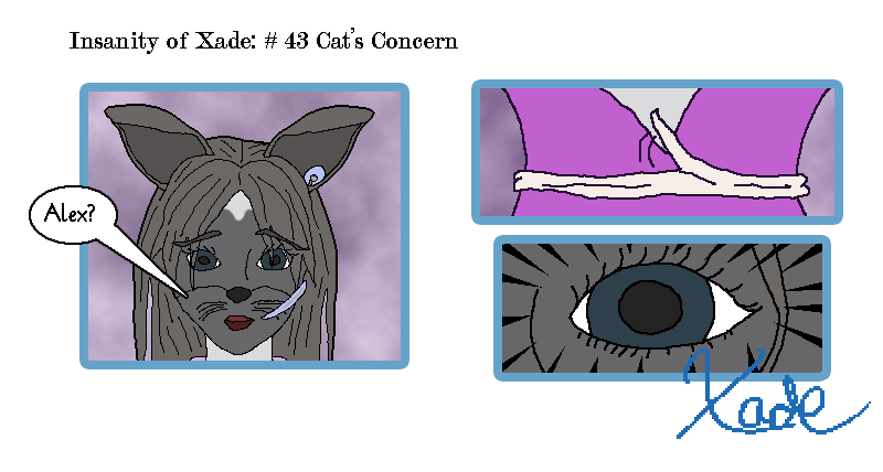 # 43 Cat's Concern