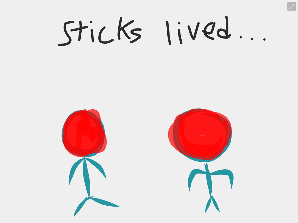 Sticks live