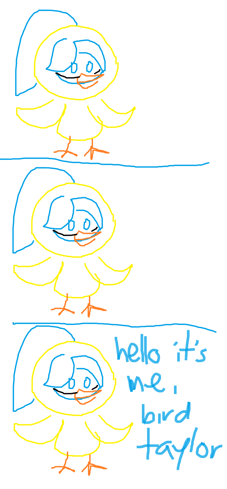 bird school, which is for birds,