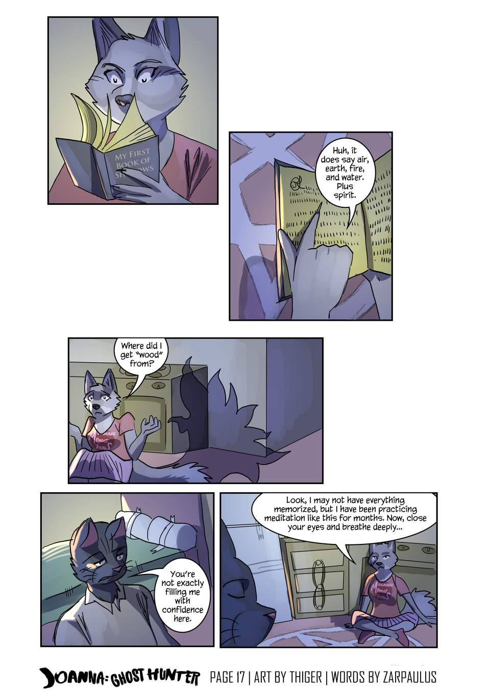 The Poltergeist Page 13