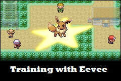 New Storyline: Training with Eevee