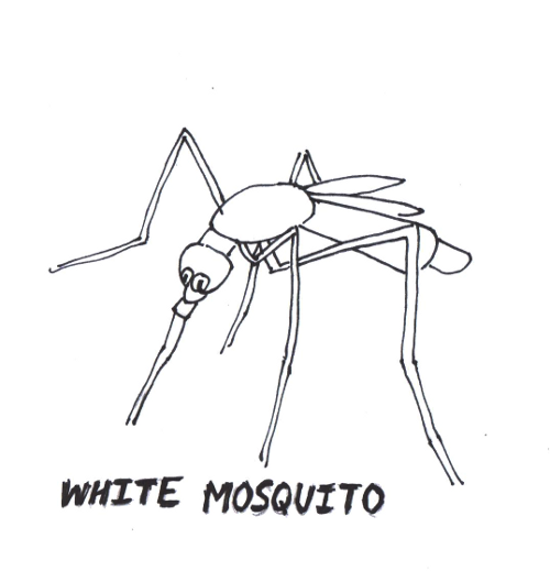 WHITE MOSQUITO