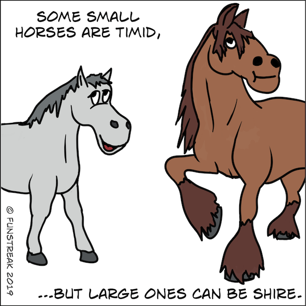 Horse Play on Words