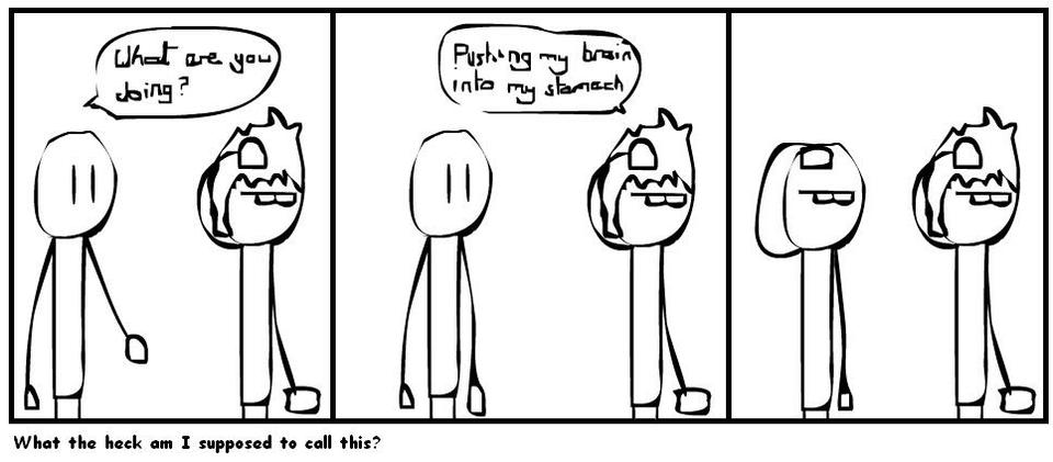 What the heck am i supposed to call this?