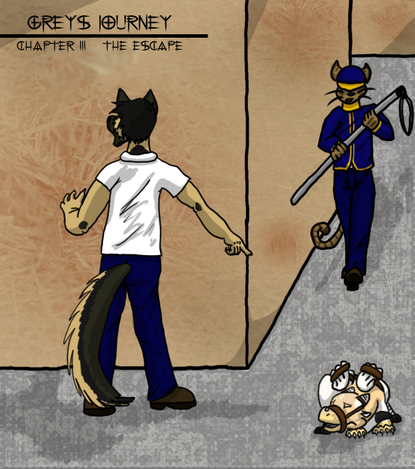 Chapter 3 Cover