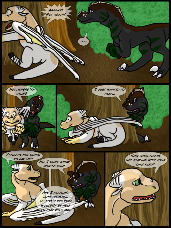 ch 4 pg 5