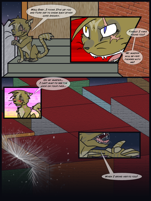 ch 4 pg 21