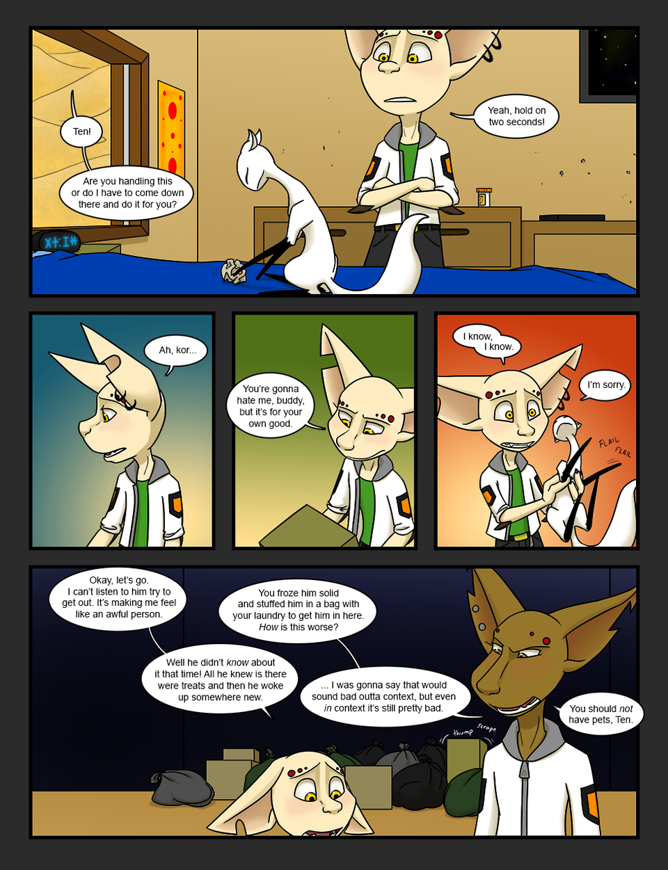 345 - Emergency pet box