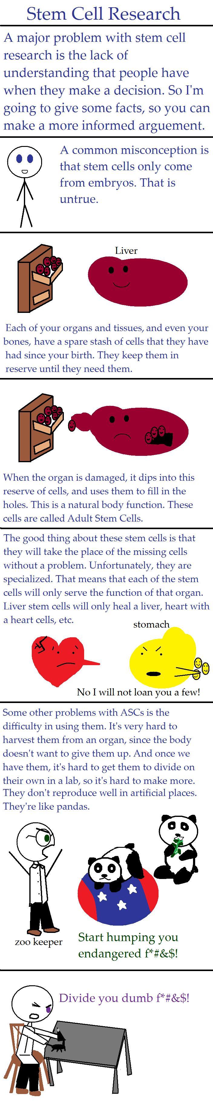 My Thoughts on Stem Cells