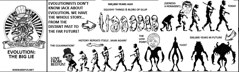 Evolution