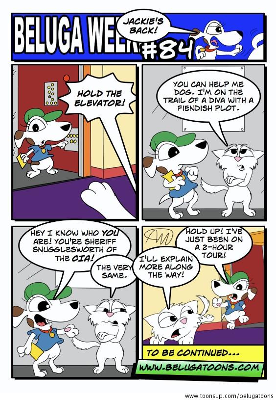 Beluga Weekly #84