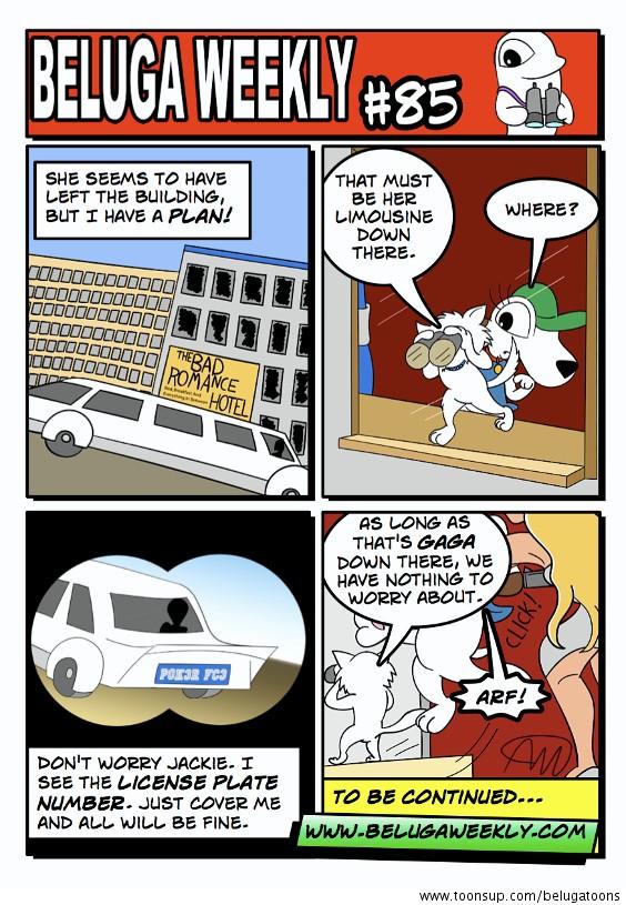 Beluga Weekly #85
