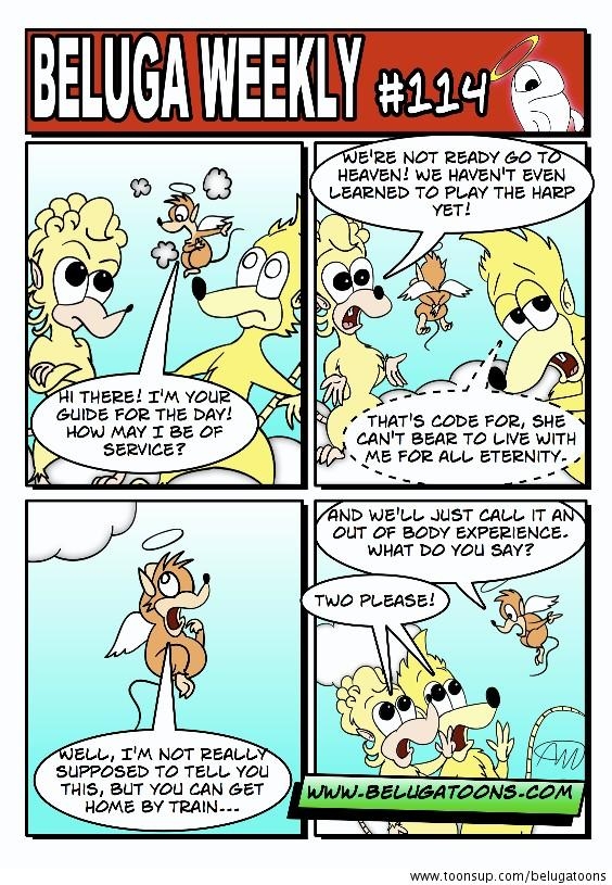 Beluga Weekly #114