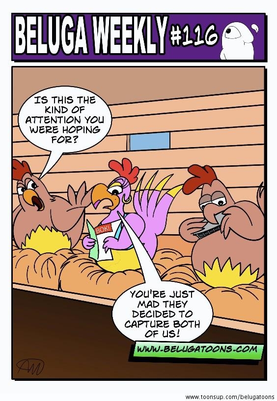 Beluga Weekly #116