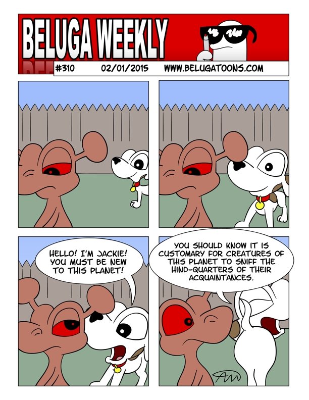 Beluga Weekly #310