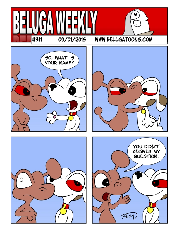 Beluga Weekly #311