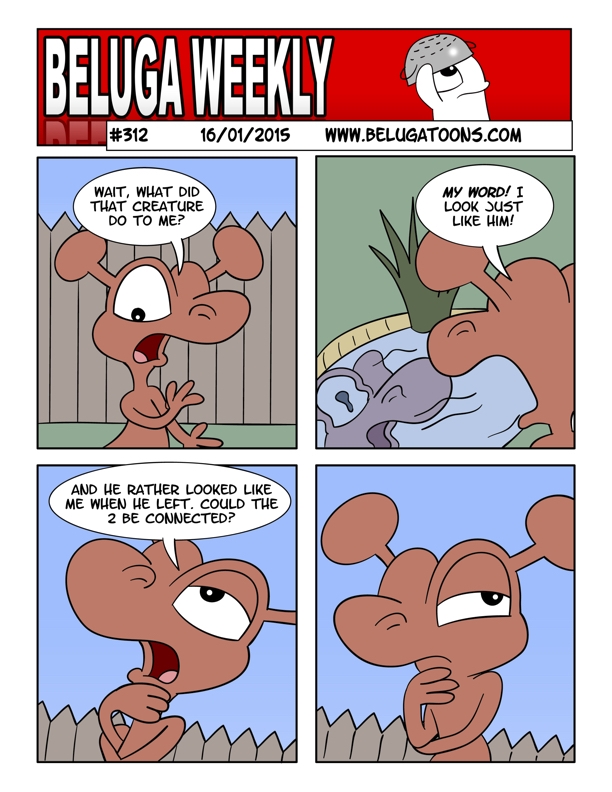 Beluga Weekly #312