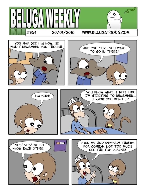 Beluga Weekly #364