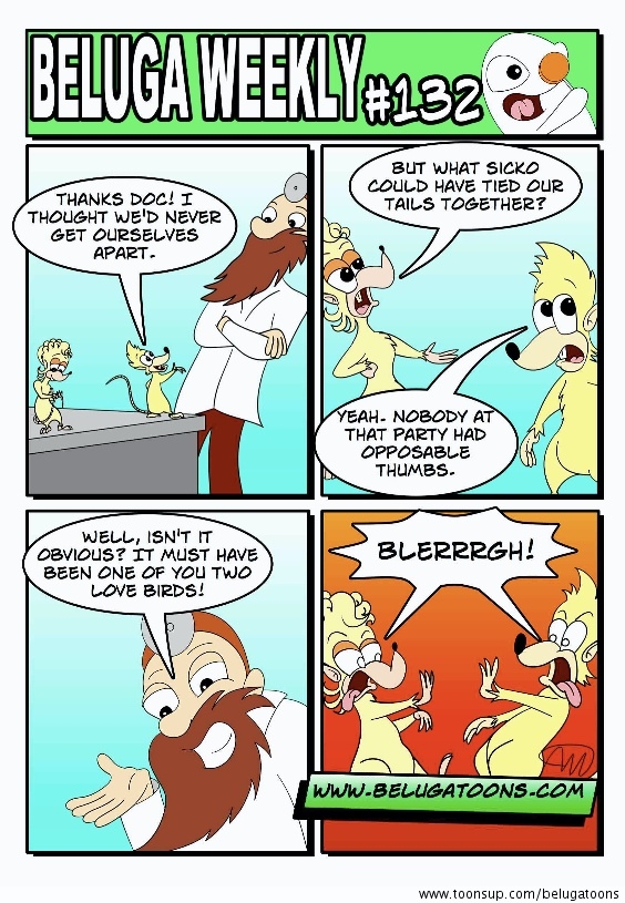 Beluga Weekly #132