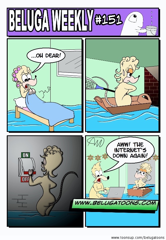 Beluga Weekly #151