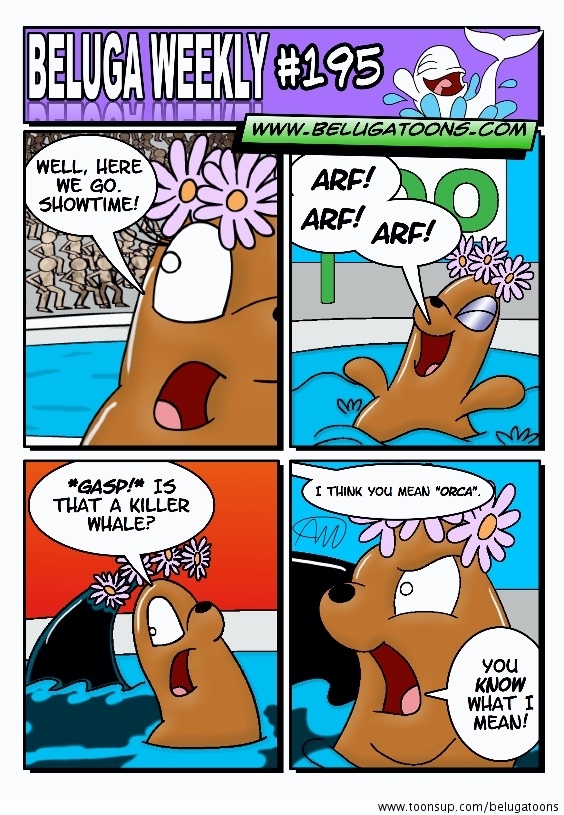 Beluga Weekly #195